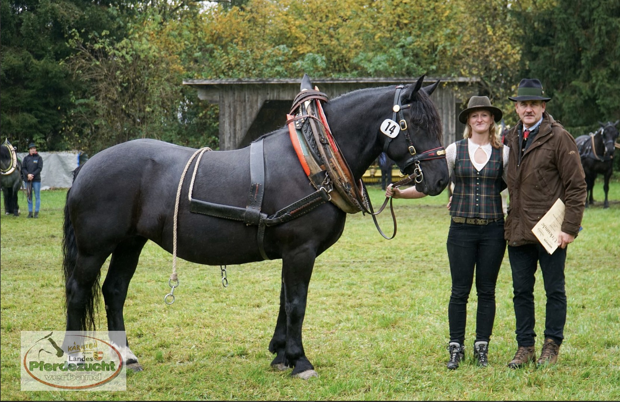AnnaSteindlLeistungsprüfung2024.jpg