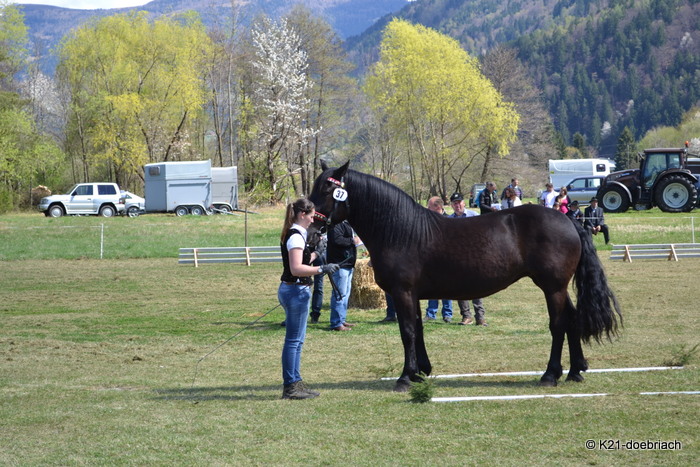 stutbuchaufnahme 2017 20170421 1663054244